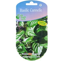 Basilic Cannelle - Semences